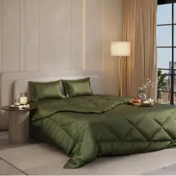 Stoa Paris Date Night Olive Oasis Bed In A Bag Double Bedsheet, Comforter with 2 Pillow Cover-picture-11
