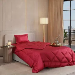 Stoa Paris Date Night Flirty Red Bed In A Bag Single Bedsheet, Comforter with 1 Pillow Cover-image-99