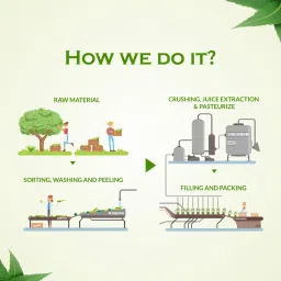 Axiom Triphla Juice | Helpful for Relief Constipation and Digestive Problems| Manage High Blood Pressure - 500ml Pack Of 2 image 3