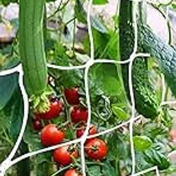 generic SEEDERRA Plant Climbing net & Creeper Net & Plant Trellis Net Plant Support Net Green Color for Agriculture and Gardening Net - 4Feet x 6Feet (Pack of 2)-picture-60