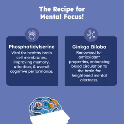 Vito Daily Focus direct to mouth powder blend of Phosphatidylserine and Ginkgo Biloba, promotes overall brain health image 5