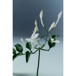 H&M Ruby Touch Eau De Parfum image 5