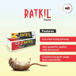 Big Rat Killer Powerful Strong Paste for Home Hotel Storage Rodent Control Die 35 gm - Pack of 4, Big (4) image 5