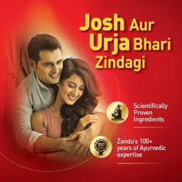 Zandu Vigorex Gold Ayurvedic Daily Energizer -Pack of 20 Capsules image 3