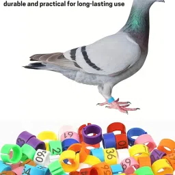 SANSEFERO 100 Pcs Birds Leg Ring for Pigeons & Other Birds Numbered Bird Rings for Spotting Poultry Leg Bands Spotting Bird Rings (Pigeon Rings) image 4