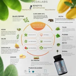 Whole Body Cleanse Metabon Detox Supplement, 30 Vegetarian Capsules, with Liver Support and Immune System Boost (2) image 1