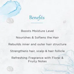 Schwarzkopf Professional Spa Essence Hydrating Masque | For Dry Or Dehydrated Hair | 500 Ml (Pack of 2) image 3