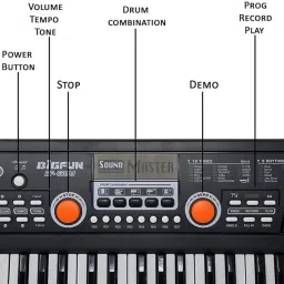 PIXYUXSHXSALES 530A1 49-Key Musical Piano Keyboard with Microphone | 8 Rhythms, 16 Tones, 6 Demos, Song Record Feaure | Dual Power Supply (USB Included) image 2