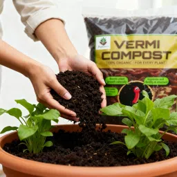 PodhaCare Vermicompost – 100% Organic Fertilizer for Plants | Natural Compost Manure for Home Garden, Pots & Vegetables (2 kg) image 5