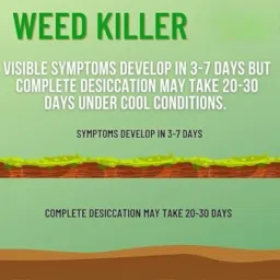 Weed Killer Liquid for Lawn & Garden | Powerful Herbicide for Removing Unwanted Weeds & Plants | Fast-Acting, Long-Lasting Weed Control Solution | Safe & Easy-to-Use Liquid Formula (1) image 5