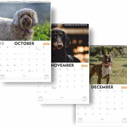 2026 Wall Calendar with Pet Photography, 12-Month Monthly Planner image 5