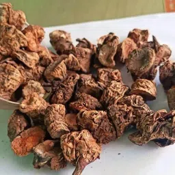 Pakhanved/Pashan bed/Pakhanbed/Patharchatta Root/200 Grams/Pakhanved Herbal Pure And Natural/250 Gram image 2