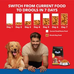 Drools Puppy Dry Dog Food, Chicken and Egg Flavor 1.2Kg Pack image 3
