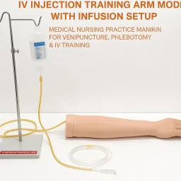 IV Child Arm Practice Mannequin |Adult Arm Practice Mannequin For Nursing Collage and Students| image 2