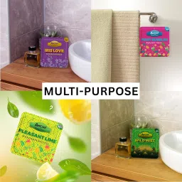 Aerozel Pocket Air Freshener | For Bathroom, Office and Car Freshener | Pack of 10 | 12G Each (20% Extra) image 1