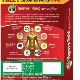 Zandu Vigorex Gold Ayurvedic Daily Energizer -Pack of 20 Capsules image 1