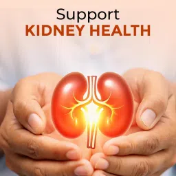 Vedikroots Avipattikar Churna | Herbal Digestive Blend | Organic Ingredients | 300g image 3