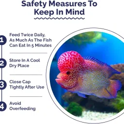 Growel Intan Flower Horn Pellets (Big 3.0mm Floating) | 150gm - Highly Nutritious Ornamental Fish Food for Flowerhorn & Kamfa image 4