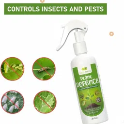 GREENFINITY Plant Defence Neem Oil Spray 200ML For Indoor & Outdoor Plants|Fortified With 7 Effective Essential Oils | Removes Mealybugs, Wide Range Of Garden Pests & Fungus | 200ml image 5