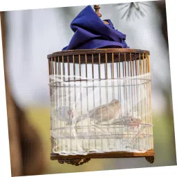 Toddmomy Birdcage Cover Mesh Net Splash Bird Cage Cover Elastic and Breathable Design for Comfortable Use Suitable for Large Cages White image 3