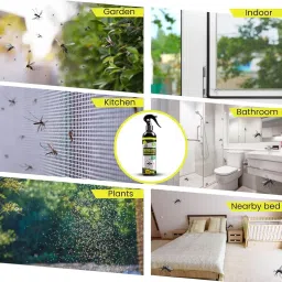 DHARMBHAKTI Lime Fragrance Mosquito Repellent Spray Herbal Plant Based Insect Repellent for Home & Outdoor Effective Protection Against Mosquitoes Safe Indoor Use Refreshing Lime Aroma (Pack Of 2) image 4