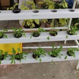 WE Hydroponics 42 Planter Hydroponics (NFT/DFT) System – Home Hydroponics kit with Stand (Vertical Half A Shaped) image 3