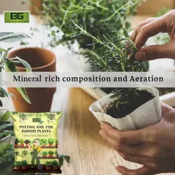 Elamgreen Premium Indoor Potting Soil – Ideal for Indoor Plants, Planters & Home Decor Pots 10kg image 4