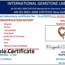 Hdbg Rudraksha Mala 108 Beads Original Gold Capped Mahadev Rudraksha Mala रुद्राक्ष माला 108 ओरिजनल छोटा दाना Rudrak Sha Mala for Jaap 5Mm रुद्राक्ष की माला गले में पहनने के लिए महादेव जी की for All image 3