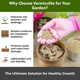 Organic Fine Vermiculite for Indoor Gardening Plants and Mushrooms – Enhances Soil Aeration, Seed Germination, Rooting Cuttings – Small Packages and Bulk (Vermiculite Grade 2 – Fine, 1 qt) image 2