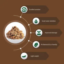 Natures Plus Cocopeat Husk| 5KG | Agropeat for Home Garden Planting|Horti Coir| Natural Coconut Coir FibreNatural| | Dehydrated Coconut Shell Piecses for Home Gardening and Potted Plants image 2