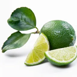 Thai Seedlees Lemon Hybrid all season Air Layering Original Plant Height 1-1.5 ft image 3