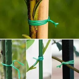 50 Meter Plastic Twist Tie Wire Spool for Garden Yard Plant, Multipurpose Bag Packing, Cable Twist Tie & Planting Accessories stem Support for Plants (Green) image 5