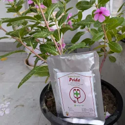 PRIDE (180 gm) - Soil Conditioner (for up to 36 plants) image 4
