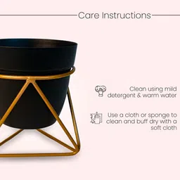 Nymph Reva Home Black & Gold-Toned Indoor Flower Pot With Stand image 2