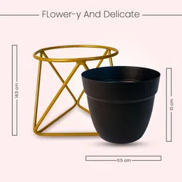 Nymph Reva Home Black & Gold-Toned Indoor Flower Pot With Stand image 3