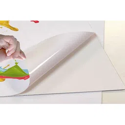 British Terminal Orange & White 1 Piece Paper Birds and Animals Wall Photographs image 4