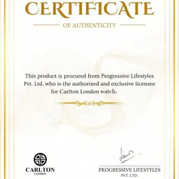 Carlton London Men Dial & Stainless Steel Bracelet Style Straps Analogue Watch CLMWT-04 image 3