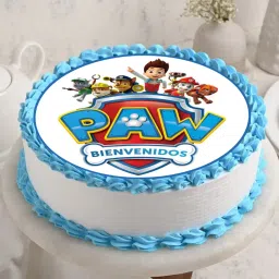 Pretty Paw Patrol Poster Cake-picture-23