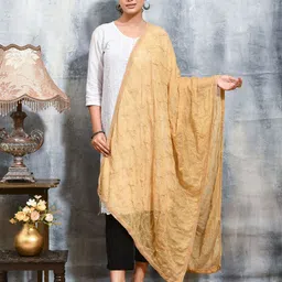 swatika Ethnic Motifs Embroidered Thread Work Chiffon Dupatta-picture-28