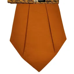 VOICI Men Paisley Design Cravat image 4