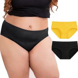 Diving Deep Women Pack of 2 Assorted Hipster Briefs-image-41