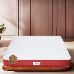 COIRFIT White & Maroon Quilted Cotton Orthopedic King Size Mattress-picture-36