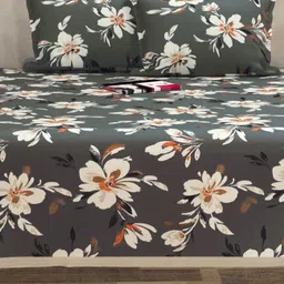 bsb home Beige & Grey Floral 210 TC Queen Bedsheet with 2 Pillow Covers-image-42