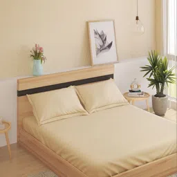 Home Centre Beige 180 TC Queen Bedsheet with 2 Pillow Covers-picture-25