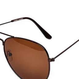 Garry Gobbs Unisex Brown Lens & Brown Aviator Sunglasses with image 5