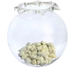 Somil Clear Round Glass Fish Pot-picture-15