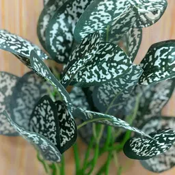 apka mart Green Artificial Plant With Pot image 3