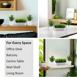 Myntra Elegant Homes White 6 Pieces Artificial Plant With Pot image 3