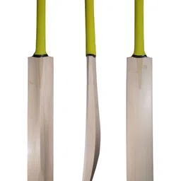 CW Kashmir Willow Cricket Bat image 3