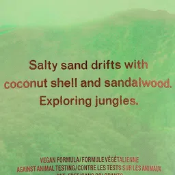 Victoria's Secret Vibrant Breeze Chasing Paradise Fragrance Lotion - 236ml image 2